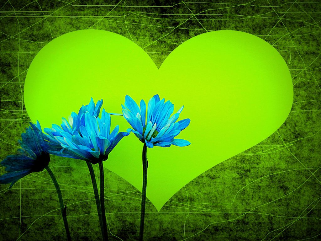 green heart with blue flowers