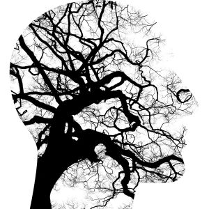 outline of a human head filled with silhouette of a tree